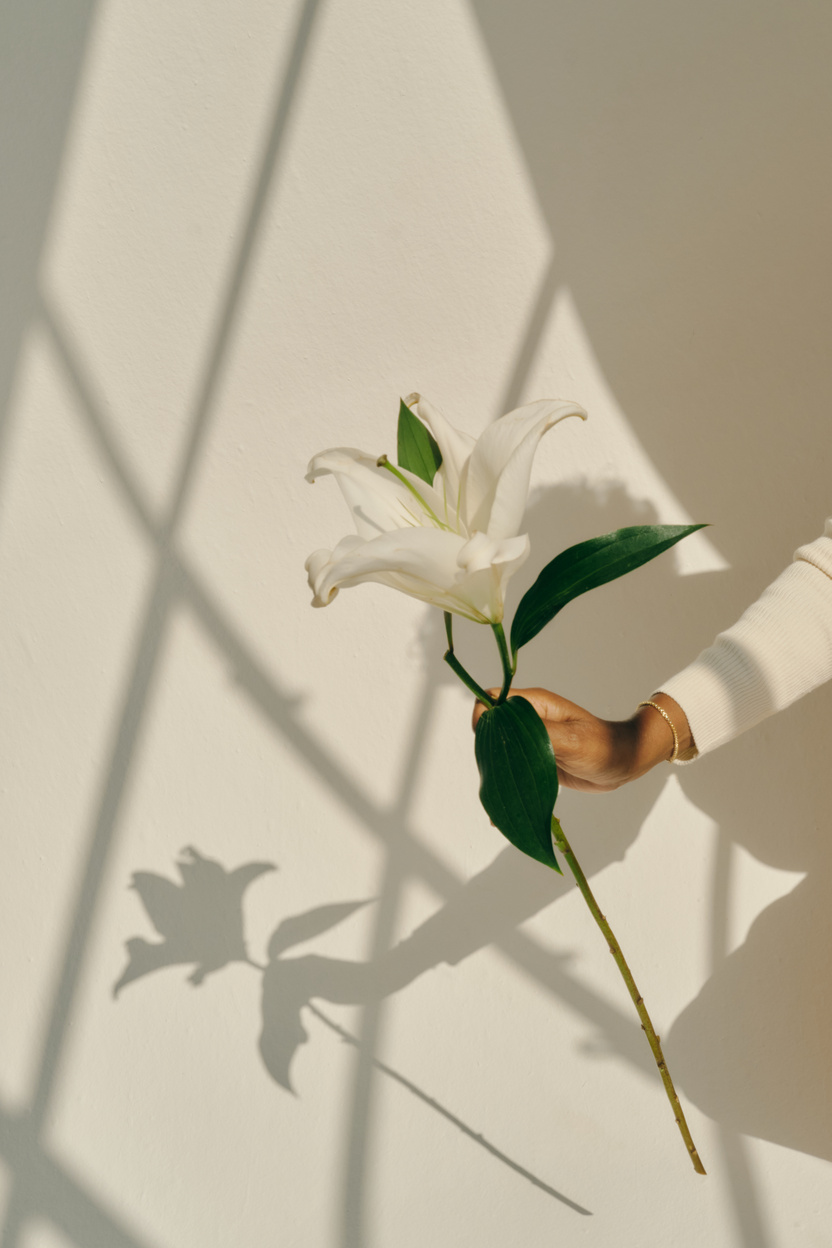 Mindfulness Practices Hand Holding Flower